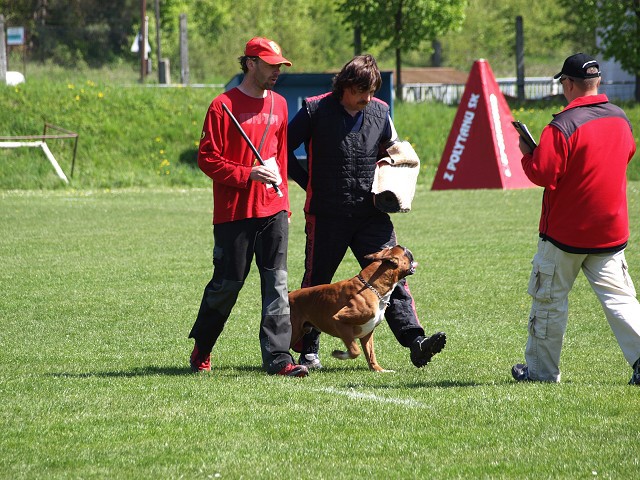 www.atibox.net * www.euroboxer.eu * www.boxergenealogia.eu